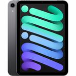iPad Mini 6 (A2567/A2568)